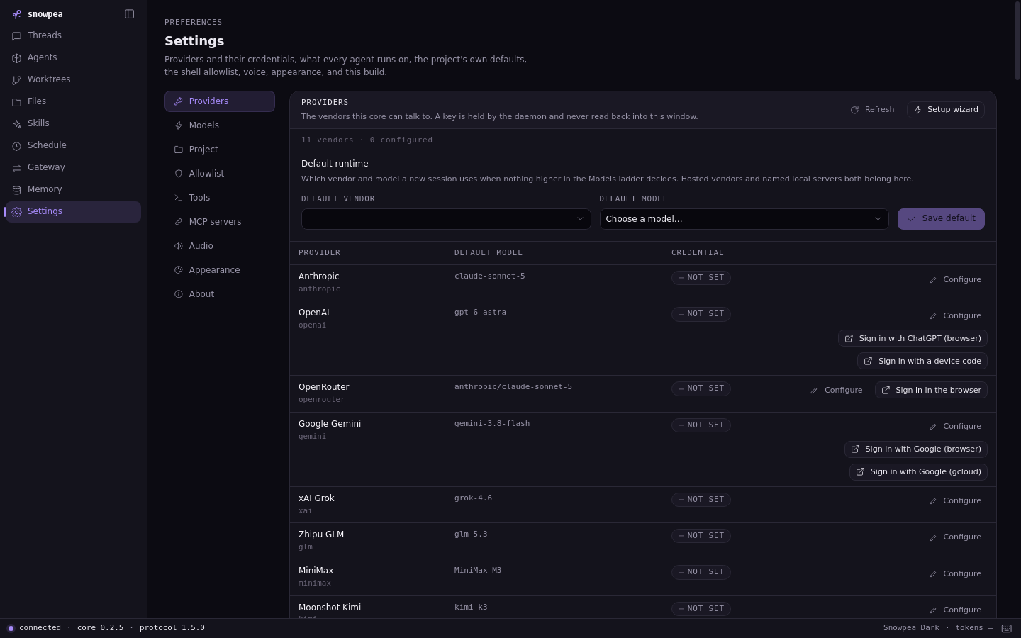 Settings → Providers: the configured vendor, the model picker and the key state.